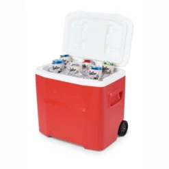 Glacière Igloo Laguna 28 Roller Red 11 Glacière Igloo Laguna 28 Roller Red -Meilleur Camping Magasin 00034519 P1