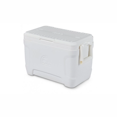 Glacière Igloo Marine Contour 25 White 9 Glacière Igloo Marine Contour 25 White – Image 7