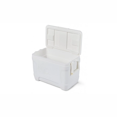 Glacière Igloo Marine Contour 25 White 5 Glacière Igloo Marine Contour 25 White – Image 3